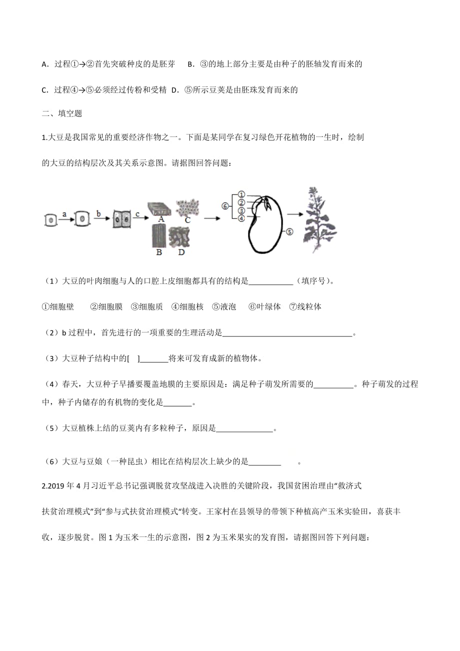 1.31.4 果实和种子的形成种子的萌发 同步练习 -济南版八年级上册生物_第4页