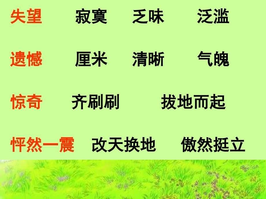 花的勇气—董世通_第5页