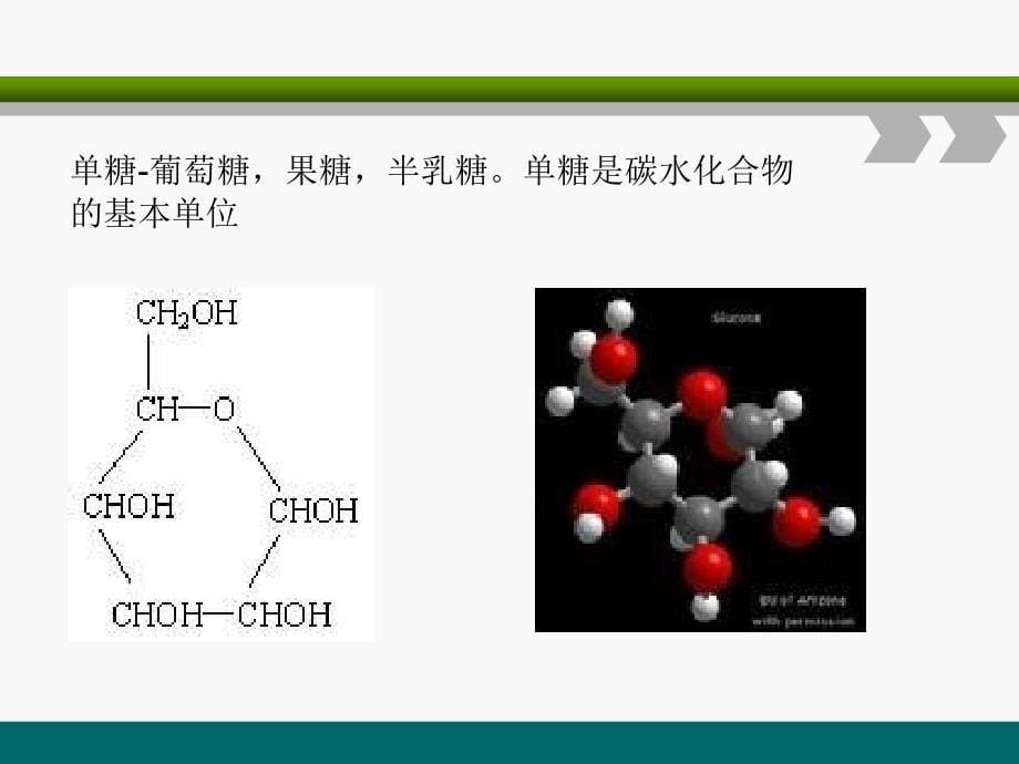 私人健身教练培训课程第四章《运动营养学1》ppt课件_第5页