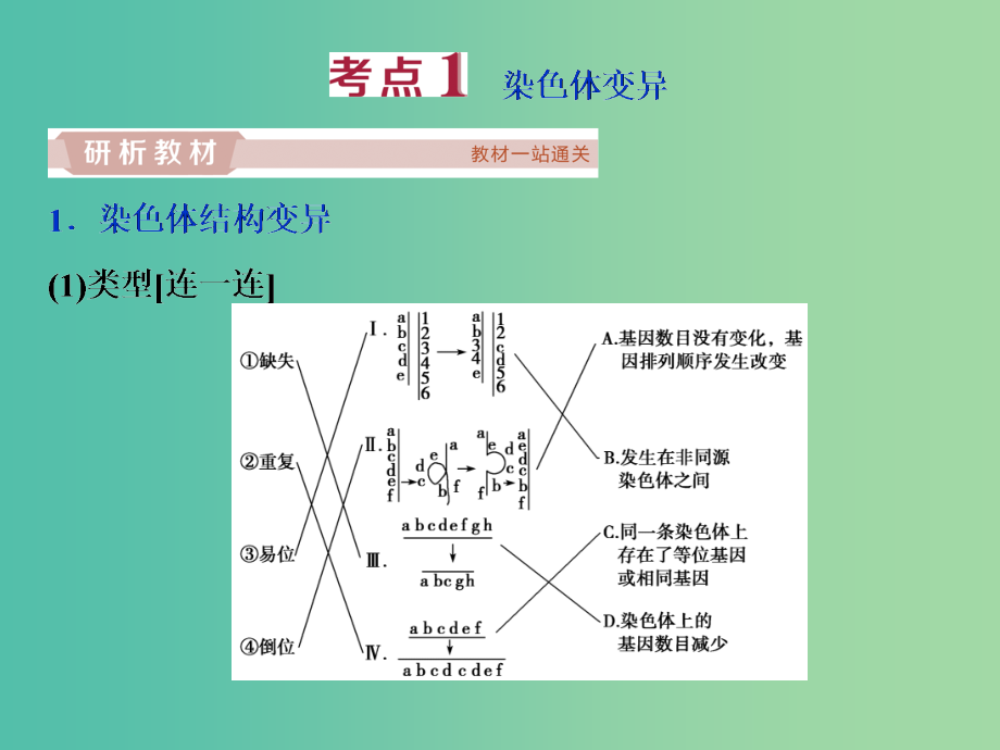 201x届高考生物一轮复习第七单元生物的变异育种和进化第23讲染色体变异与育种_第3页