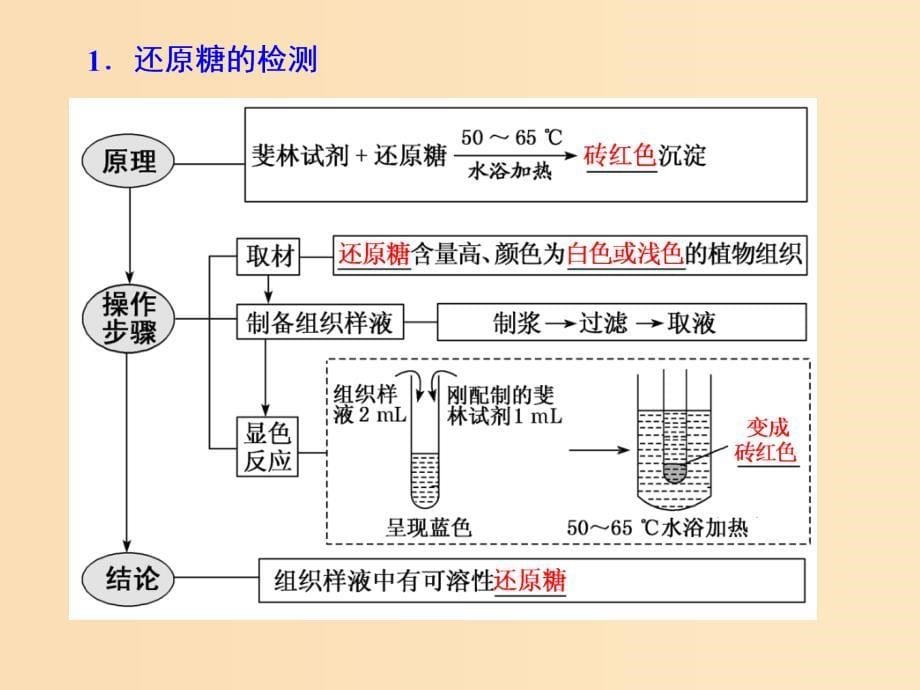 （新课改省份专用）202x版高考生物一轮复习 第一单元 第二讲 检测生物组织中的糖类、脂肪和蛋白质（实验课）_第5页