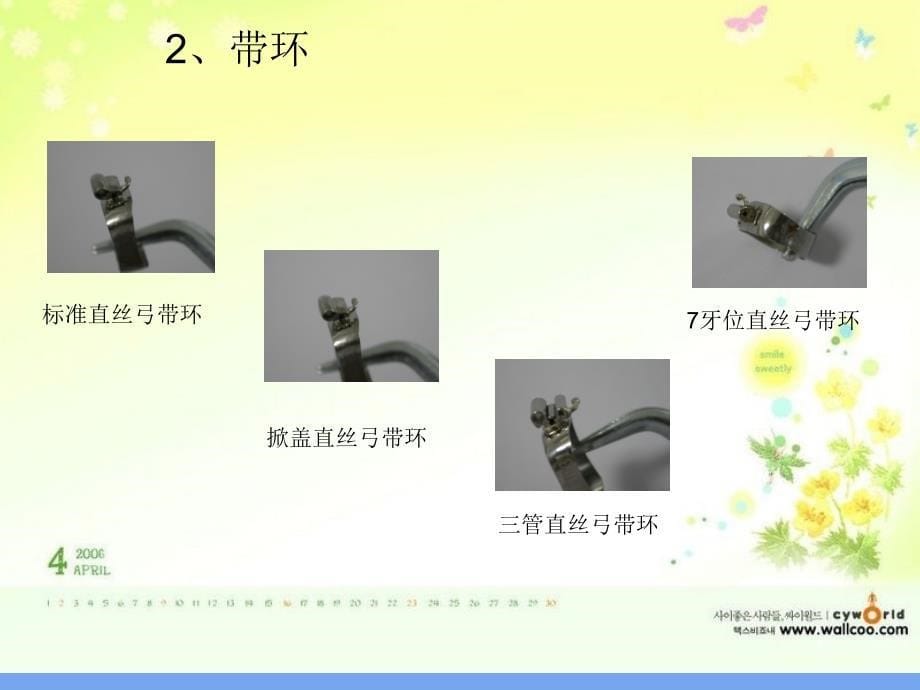 口腔正畸治疗常用材料和器械精品课件_第5页