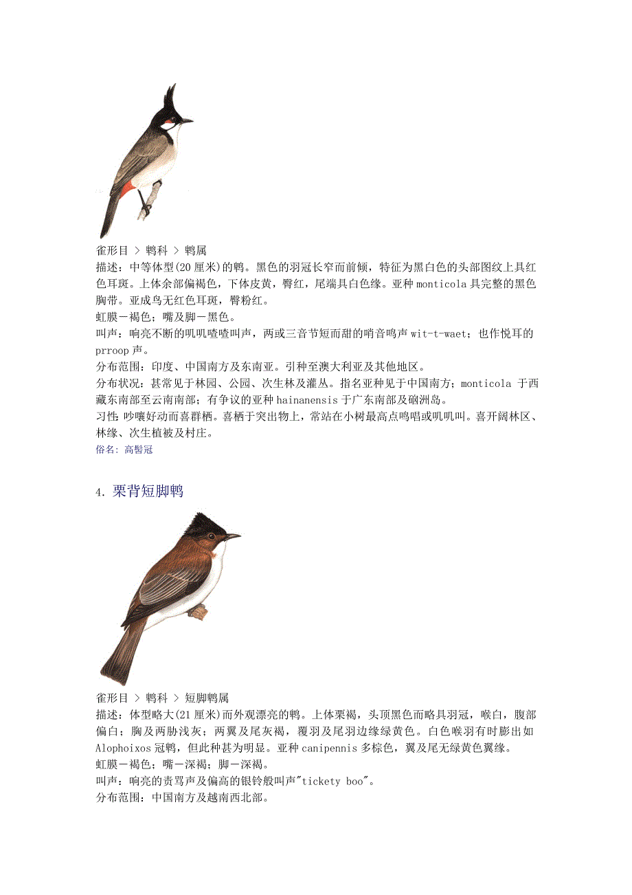 中小学生必知鸟类知识50种鸟上_第2页