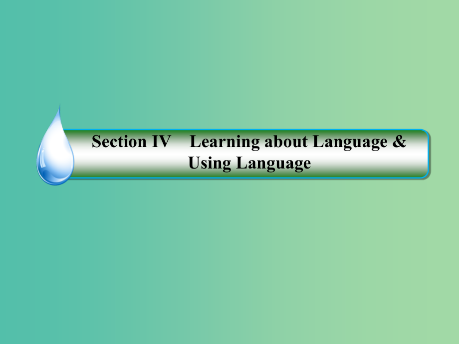 高中英语 2.4Learning about Language &ampamp; Using Language 新人教版必修1_第2页