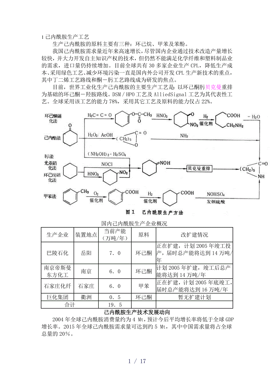 己内酰胺生产工艺删减_第1页