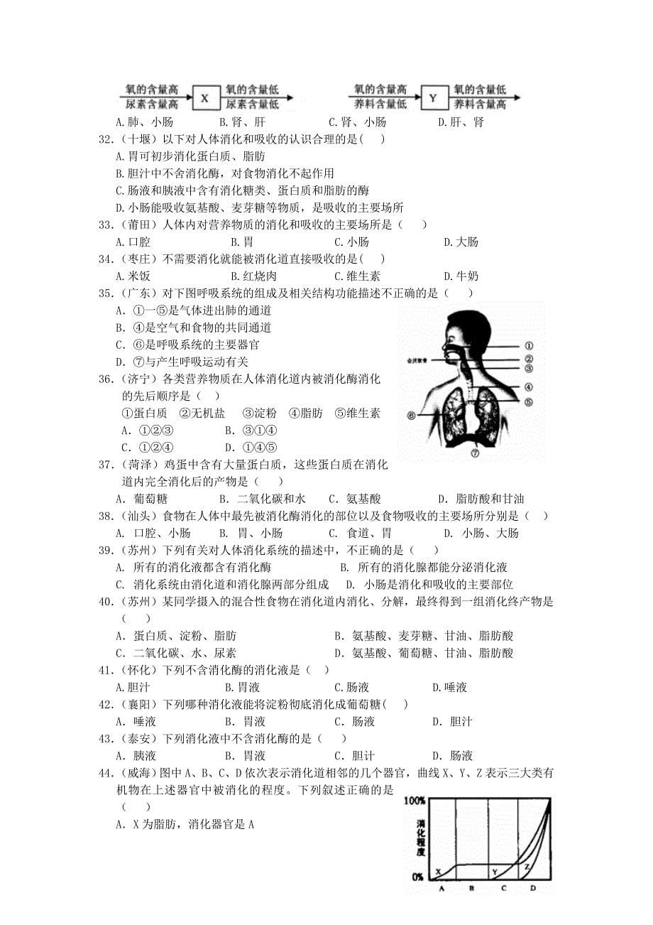 备战2012精品资料-生命科学部分2011年科学考点分类汇编之四：人的新陈代谢_第5页