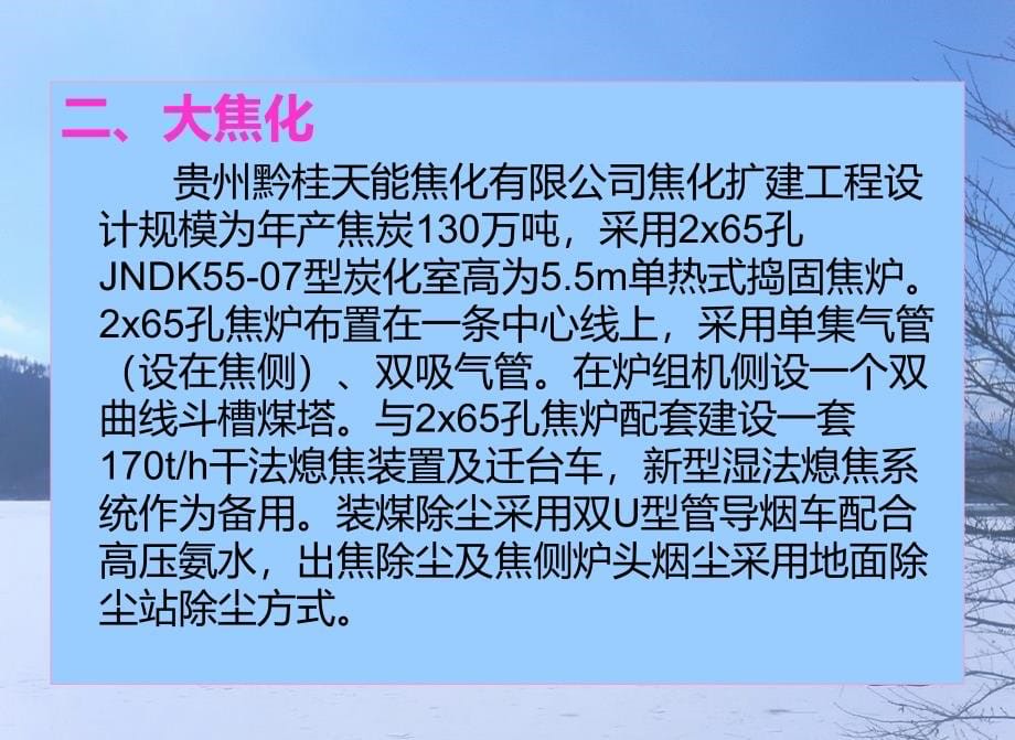 捣固炼焦工艺流程(PPT 53页)_第5页