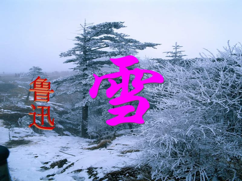 《雪》1-教学PPT课件-教学课件_第1页