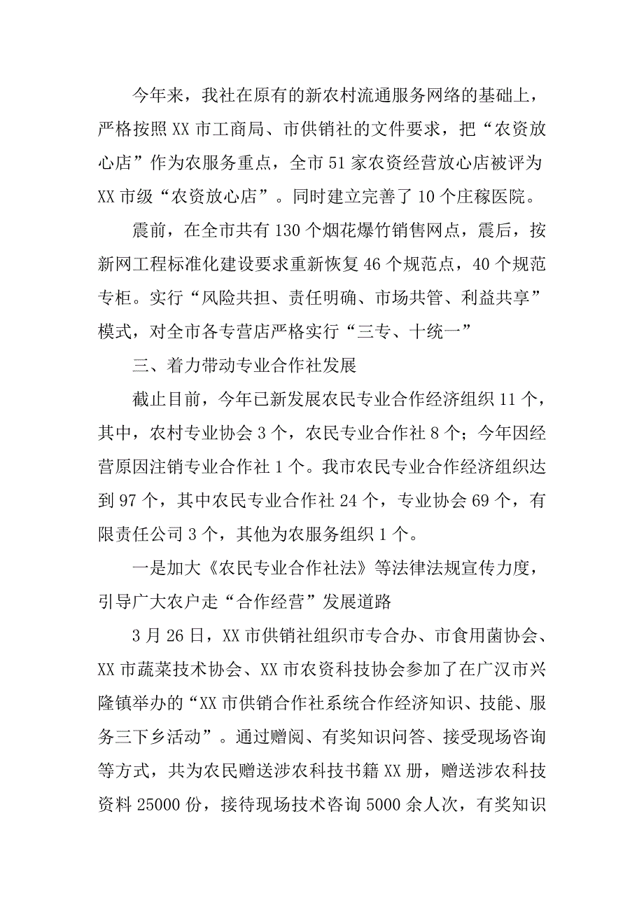 XX年供销社工作总结及XX年工作要点_第3页