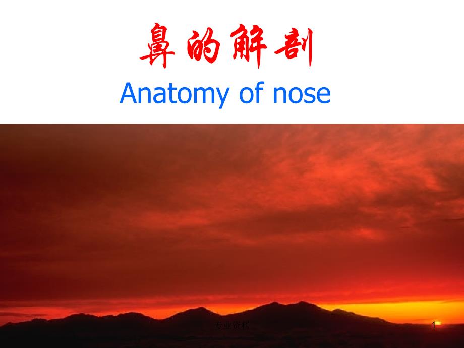 鼻的解剖与生理#专家指导_第1页