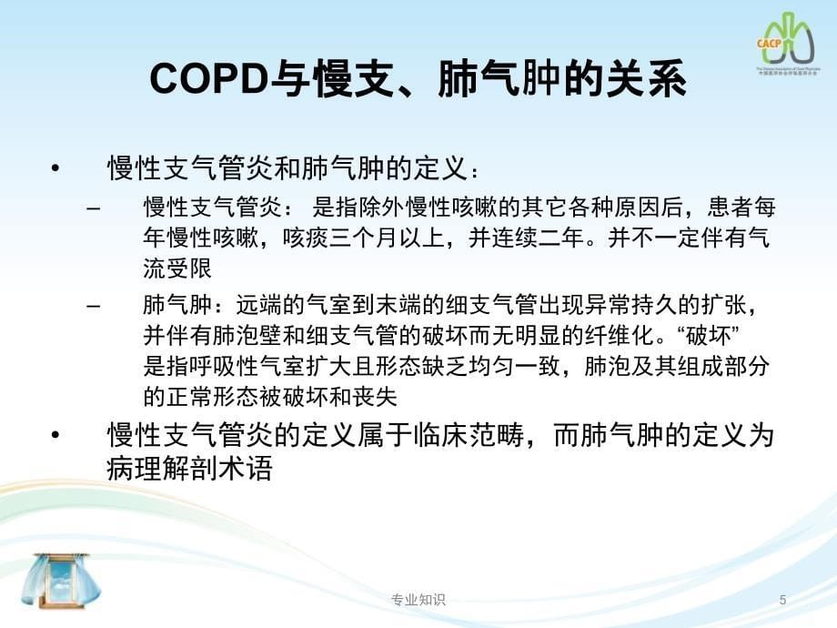 COPD的定义及诊断#专业荟萃_第5页