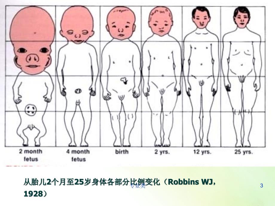 错牙合畸形的发病机制及病因#专业相关_第3页