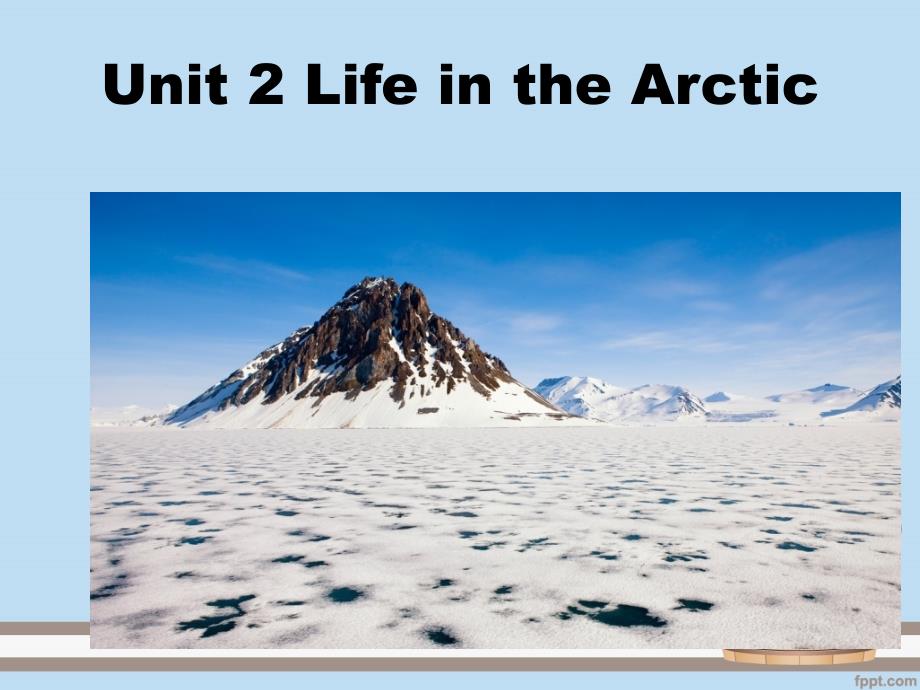 武汉小学五年级英语UNIT2LIFE-in-the-Arctic_第2页