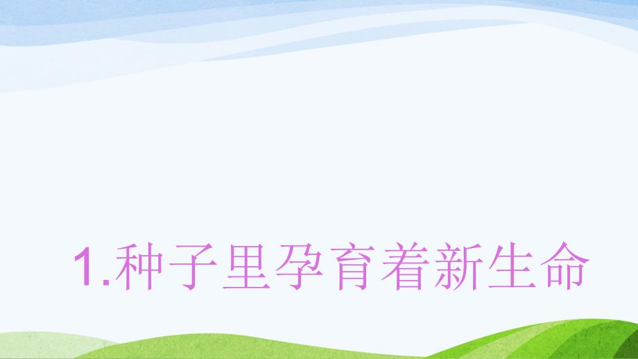 新教科版（2021年春）四年级下册科学《1.1种子里孕育着新生命》教学课件_第2页