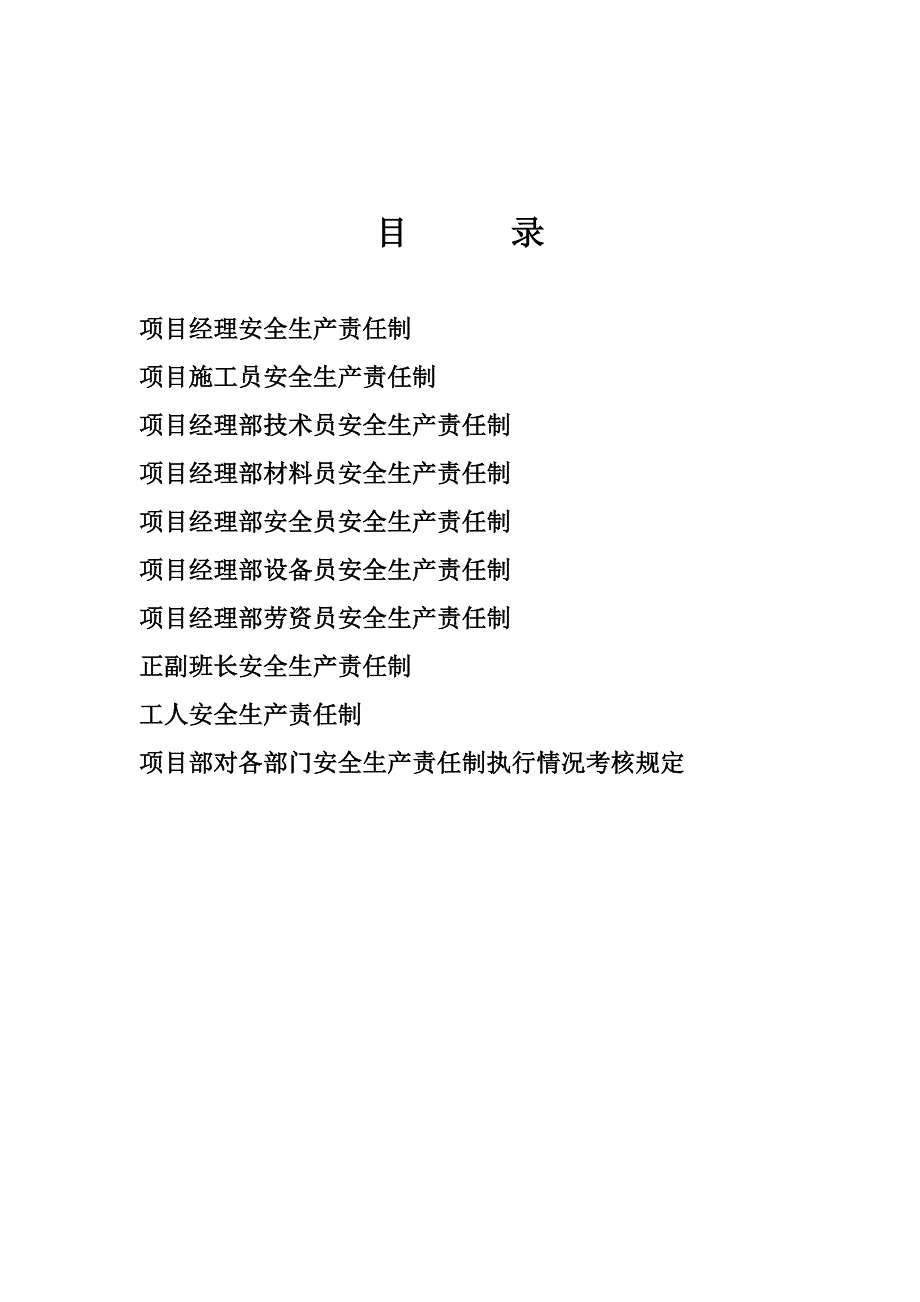 各类人员安全生产责任制Word版_第2页