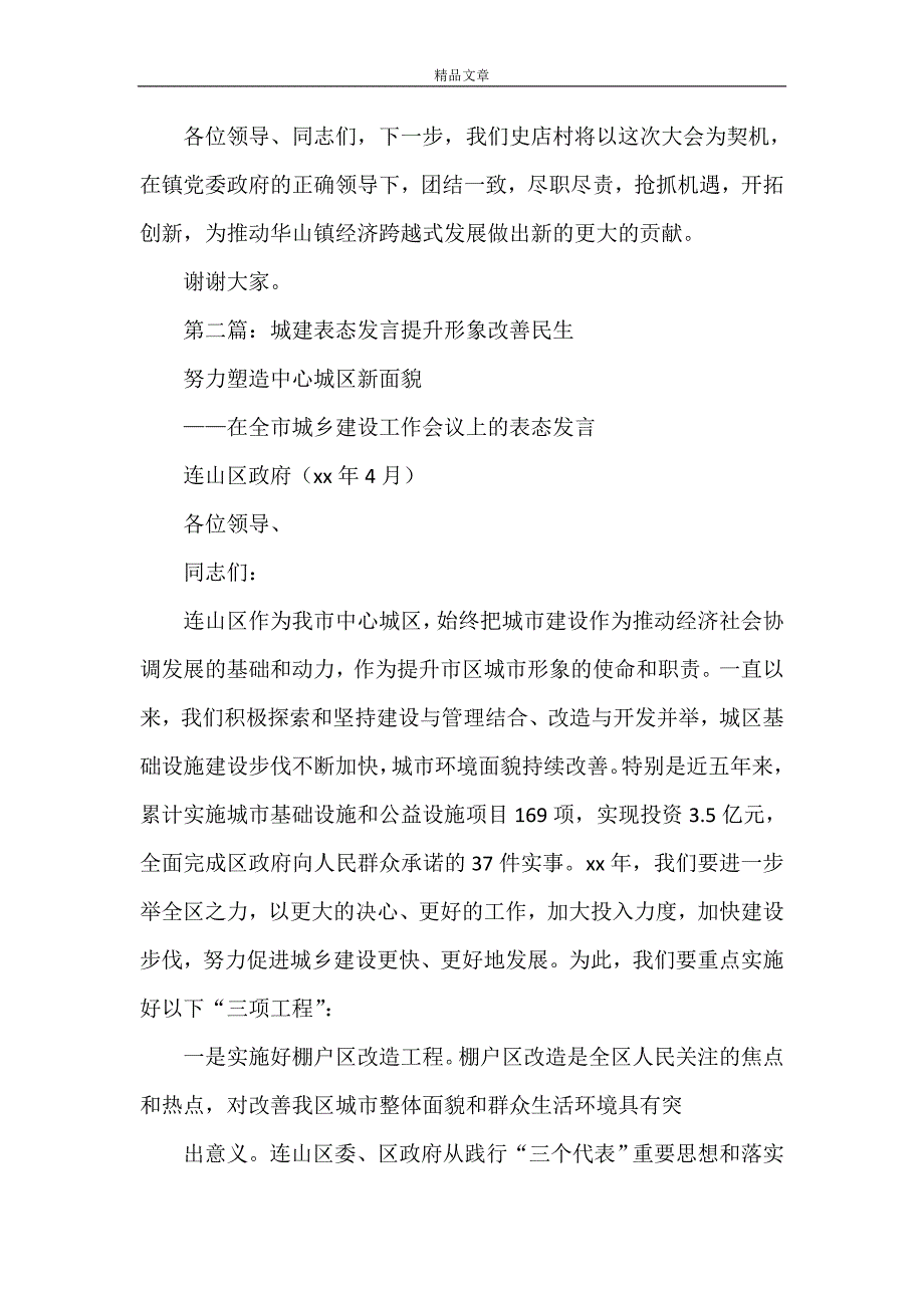 《村书记城建大会表态发言材料》_第2页