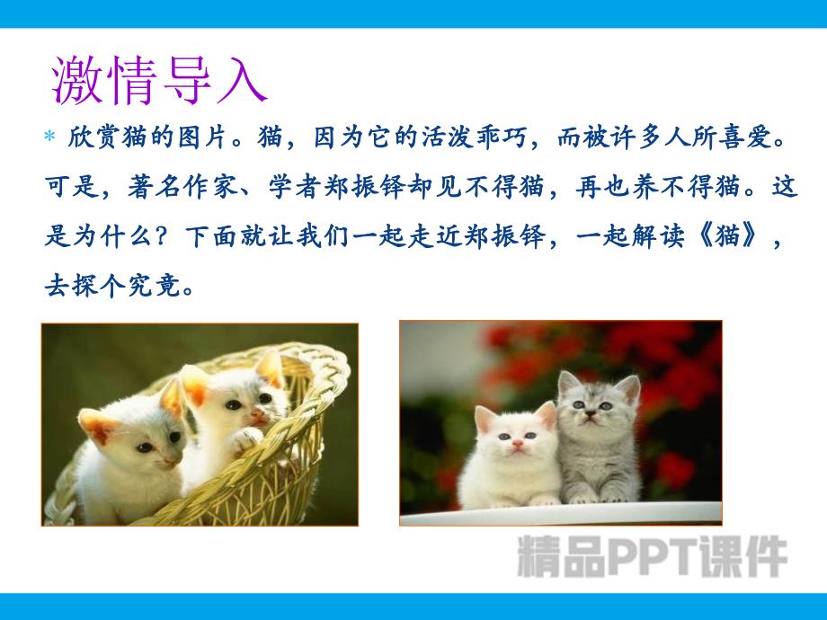 第十七课--猫-教学PPT课件-教学课件_第4页