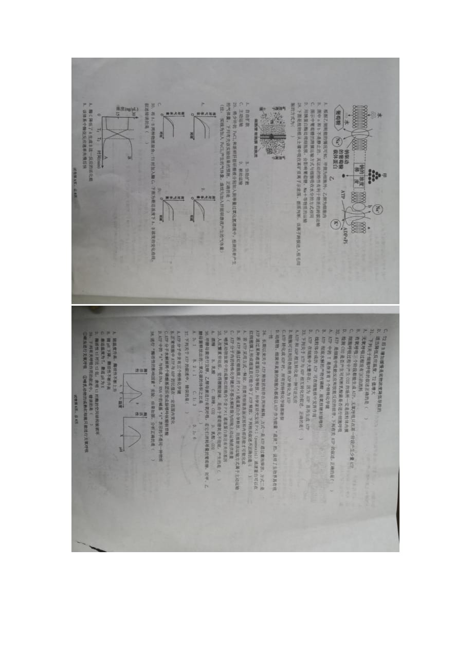 2020-2021学年度第一学期高一生物第二次月考试卷（图片版无答案）_第3页