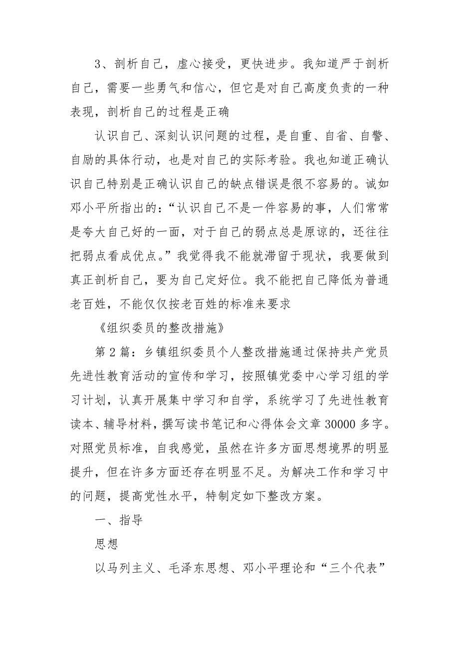 组织委员工作整改措施_第5页