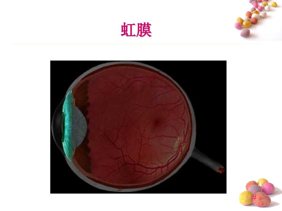 （推荐精选）白内障知识培训_第4页