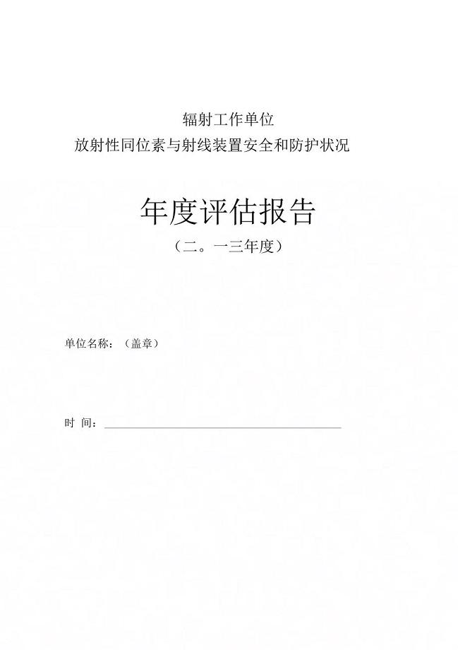 《年度评估实施报告模板》