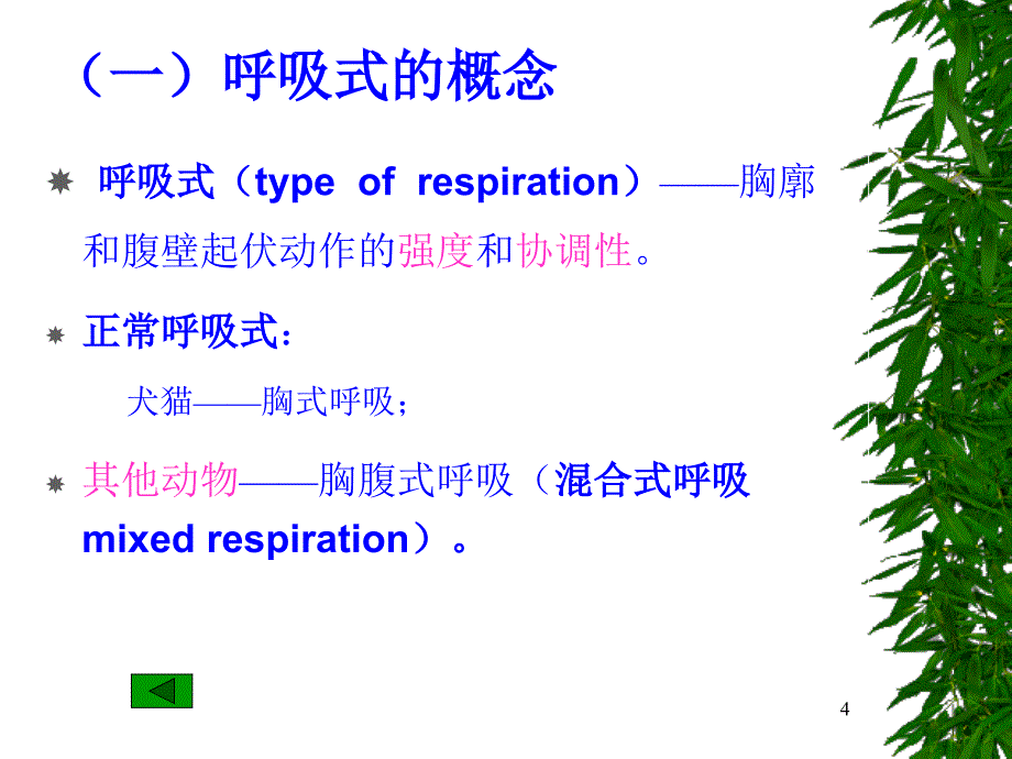 （推荐精选）呼吸系统的临床检查_第4页