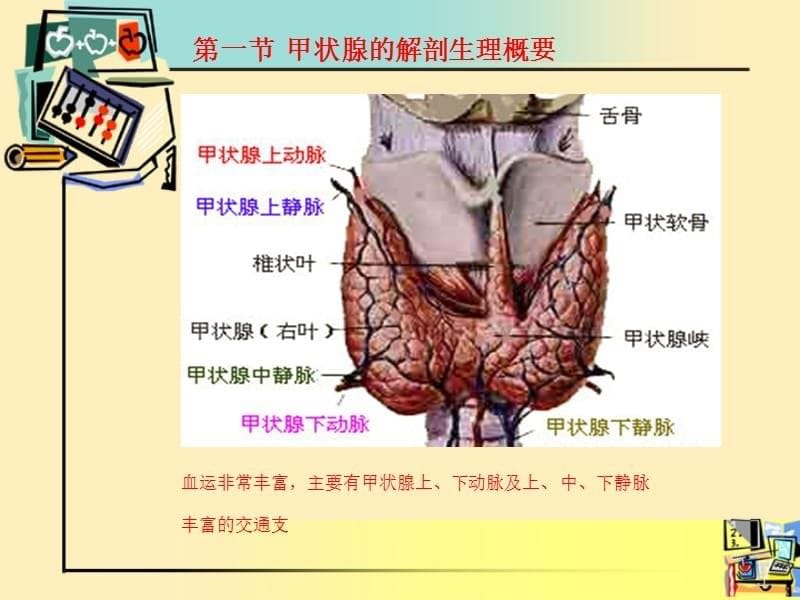 （推荐精选）甲状腺围手术期的护理_第5页