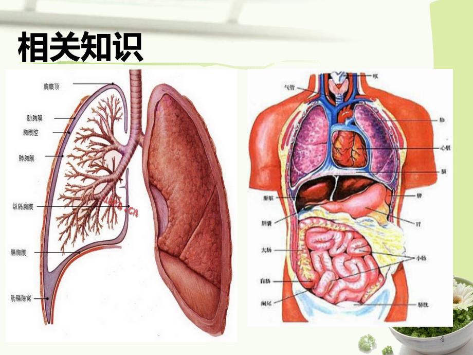 （推荐精选）胸腔闭式引流的注意事项_第4页