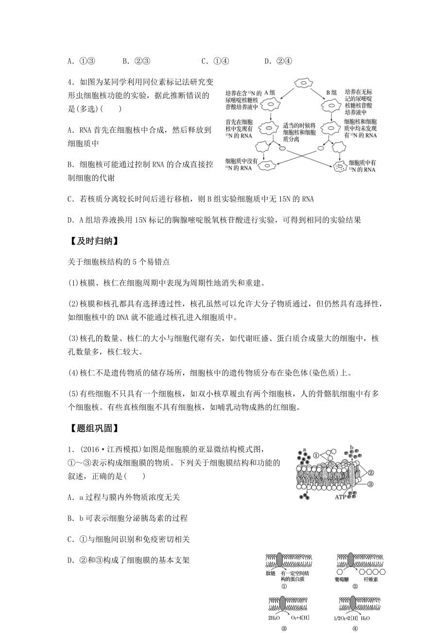 高中生物必修一学案-3.2.4细胞核7-苏教版_第5页