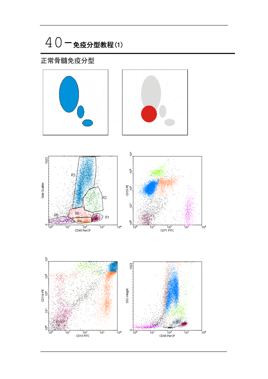 免疫分型教程 （精选可编辑）_第1页