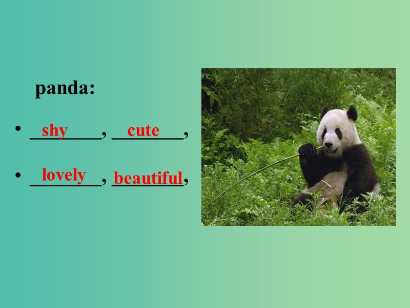 七年级英语下册 Unit 5 Why do you like pandas Section B 2 人教新目标版_第3页