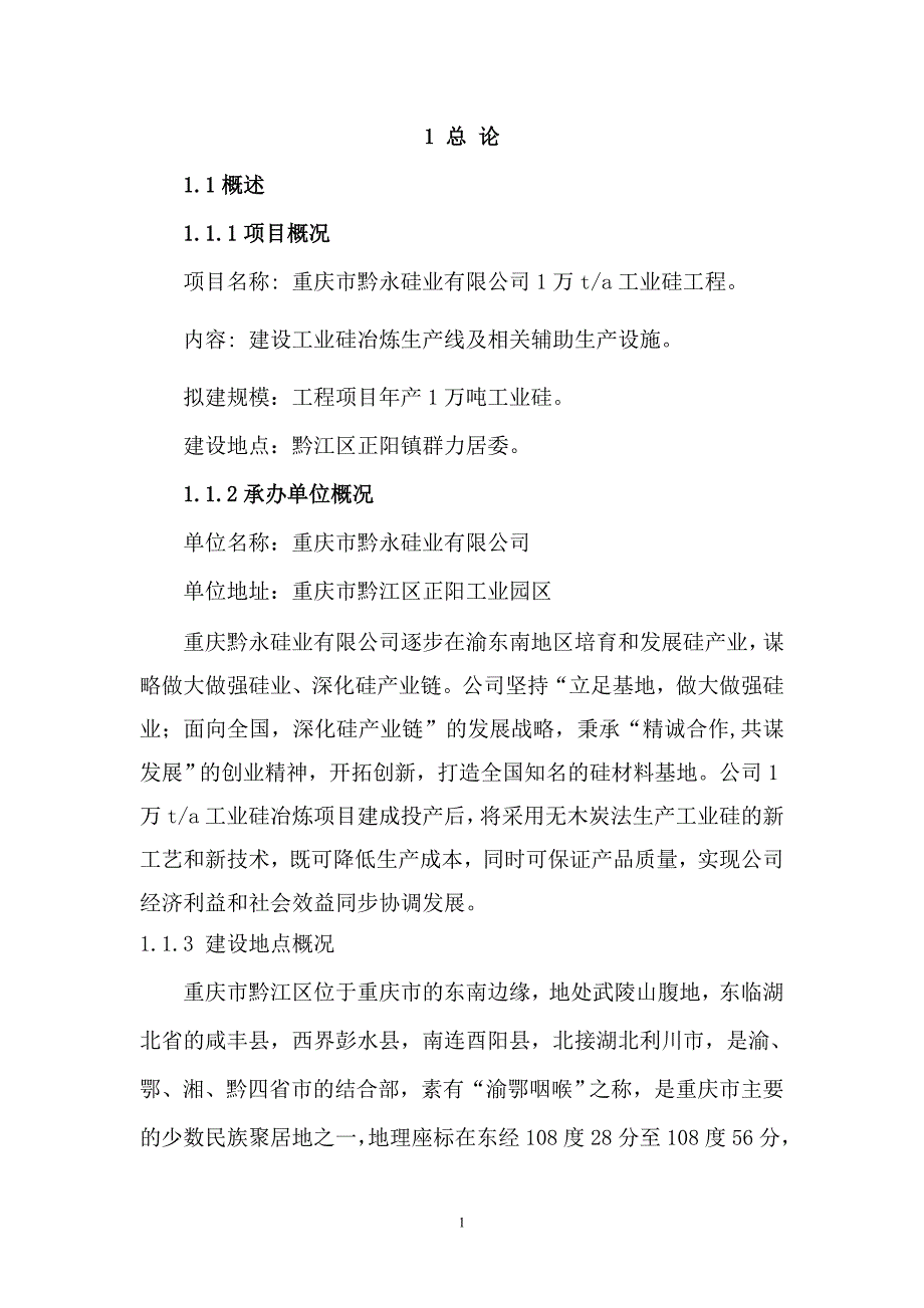 项目可行性研究报告参考某有限公司 硅 项目 （精选可编辑）_第1页