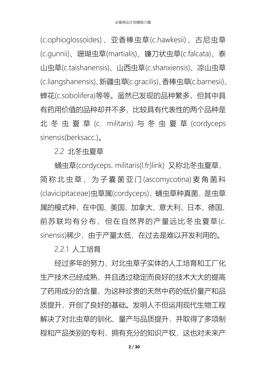 （精编）必备商业计划模板六篇_第2页