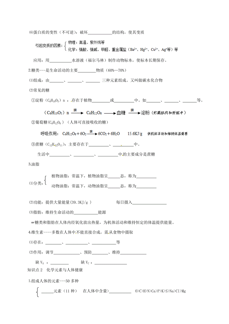 河北省邢台市桥东区九年级化学下册 第12单元 化学与生活复习导学案(无答案)(新版)新人教版 学案_第2页