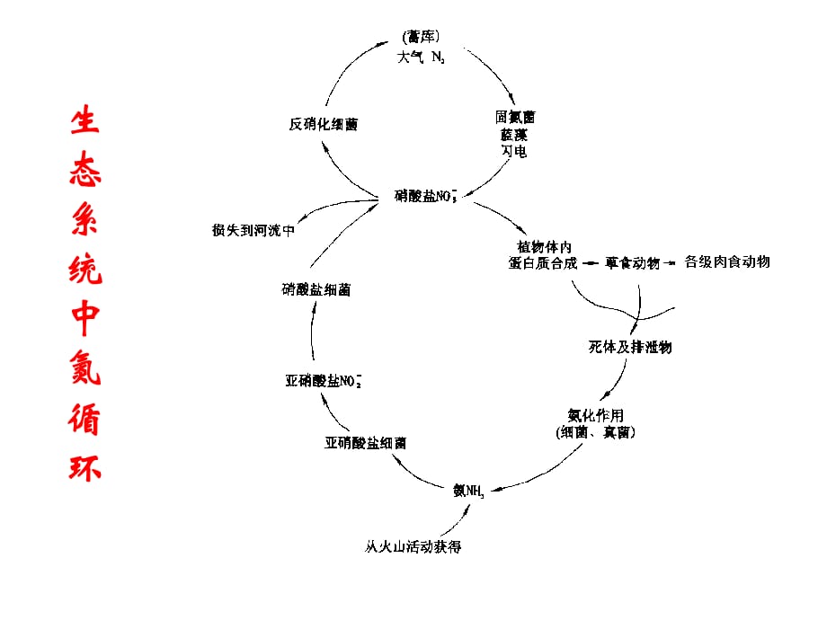 土壤氮素与环境课件_第3页