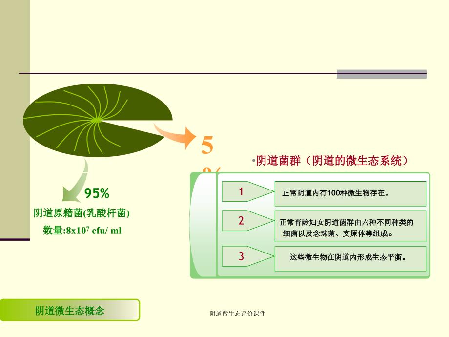 阴道微生态评价课件_第4页