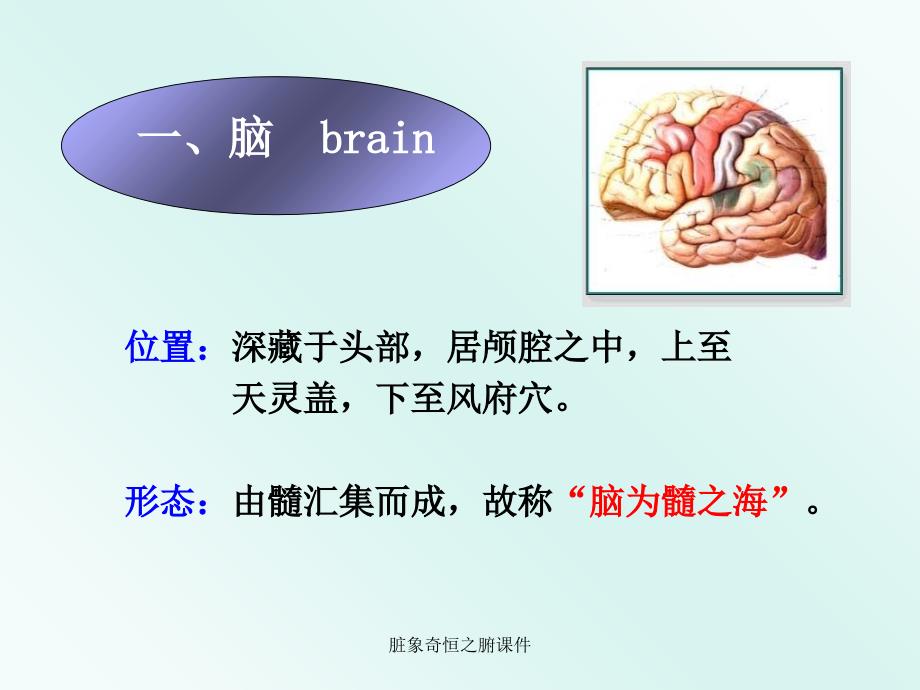 脏象奇恒之腑课件_第3页