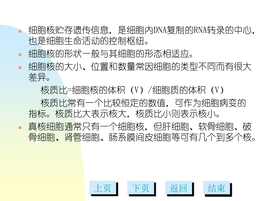 细胞核多媒体课件_第3页