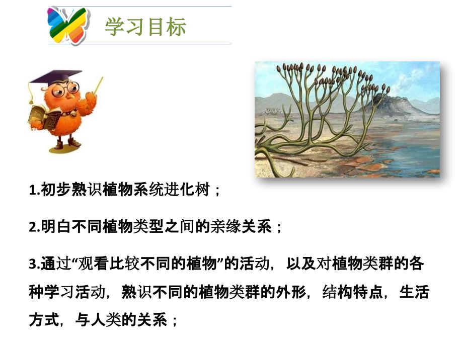 2018北师大版生物八年级下册22.3《植物的主要类群》ppt课件2_第3页