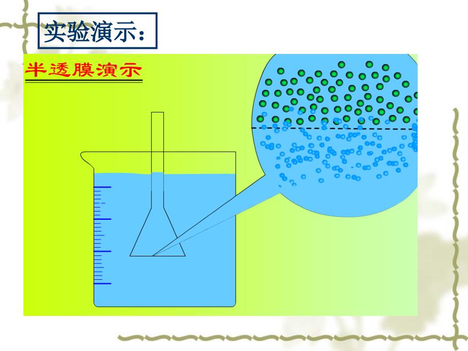 高一生物人教版必修一《4.1物质跨膜运输的实例》课件_第3页