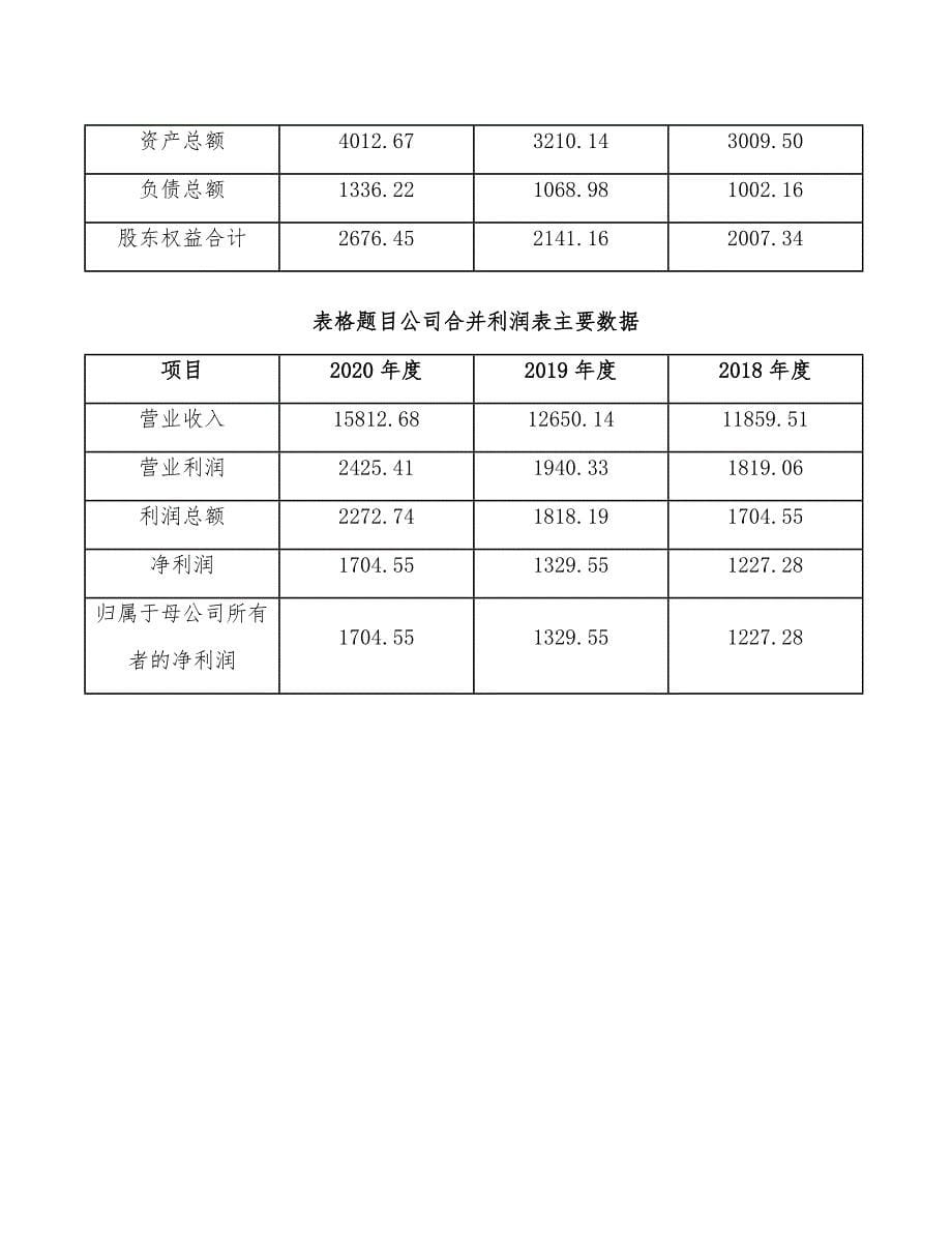 石英项目人力资源方案_第5页