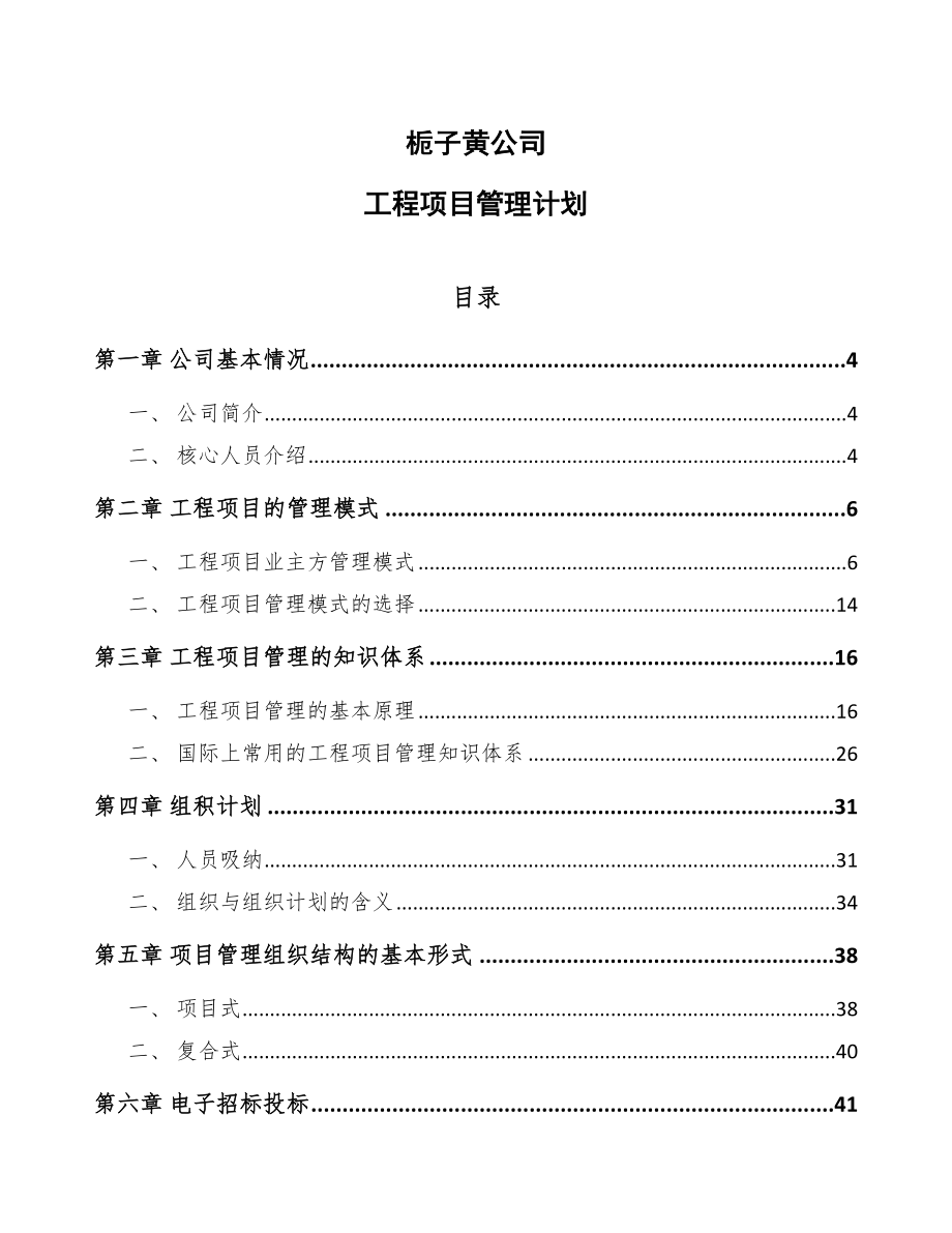 栀子黄公司工程项目管理计划_第1页