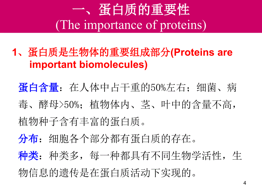 生物化学：4-蛋白质1_第4页