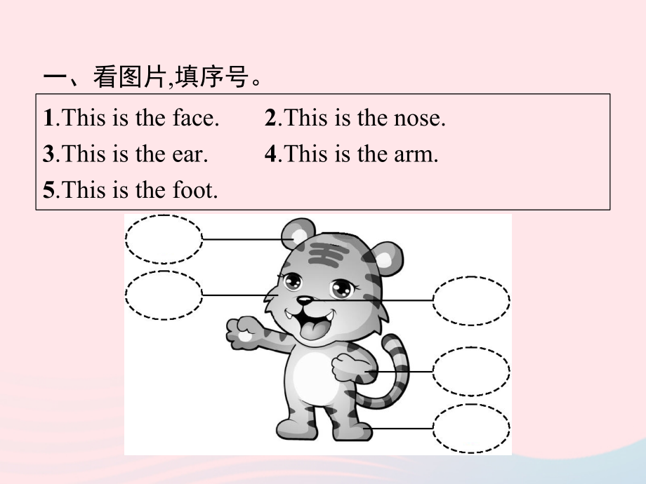 三年级英语上册 专项复习 阅读专项课件 人教PEP-人教PEP小学三年级上册英语课件_第2页