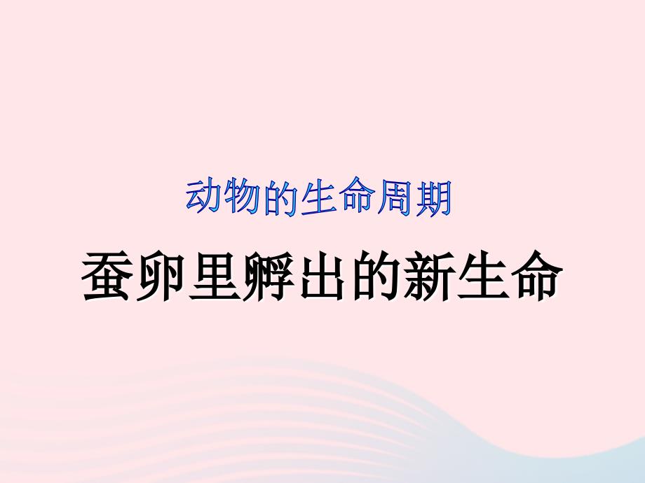 三年级科学下册 动物的生命周期 1 蚕卵里孵出的新生命课件2 教科版-教科版小学三年级下册自然科学课件_第1页