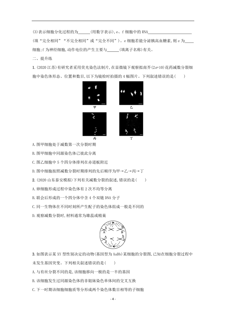 2022高考生物一轮复习课时练13减数分裂和受精作用含解析新人教版115_第4页