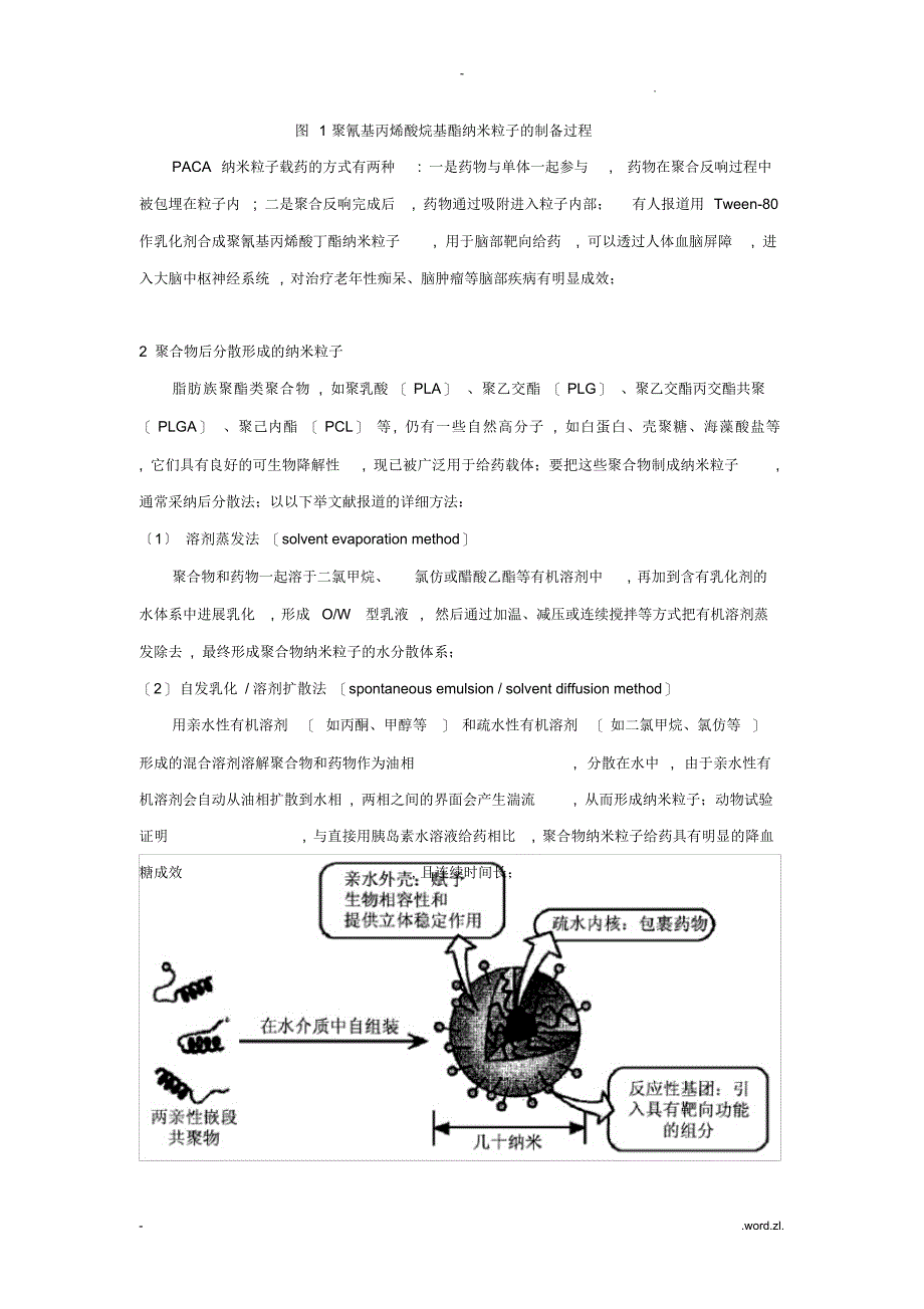 2021年药用高分子材料——纳米药物载体技术_第2页