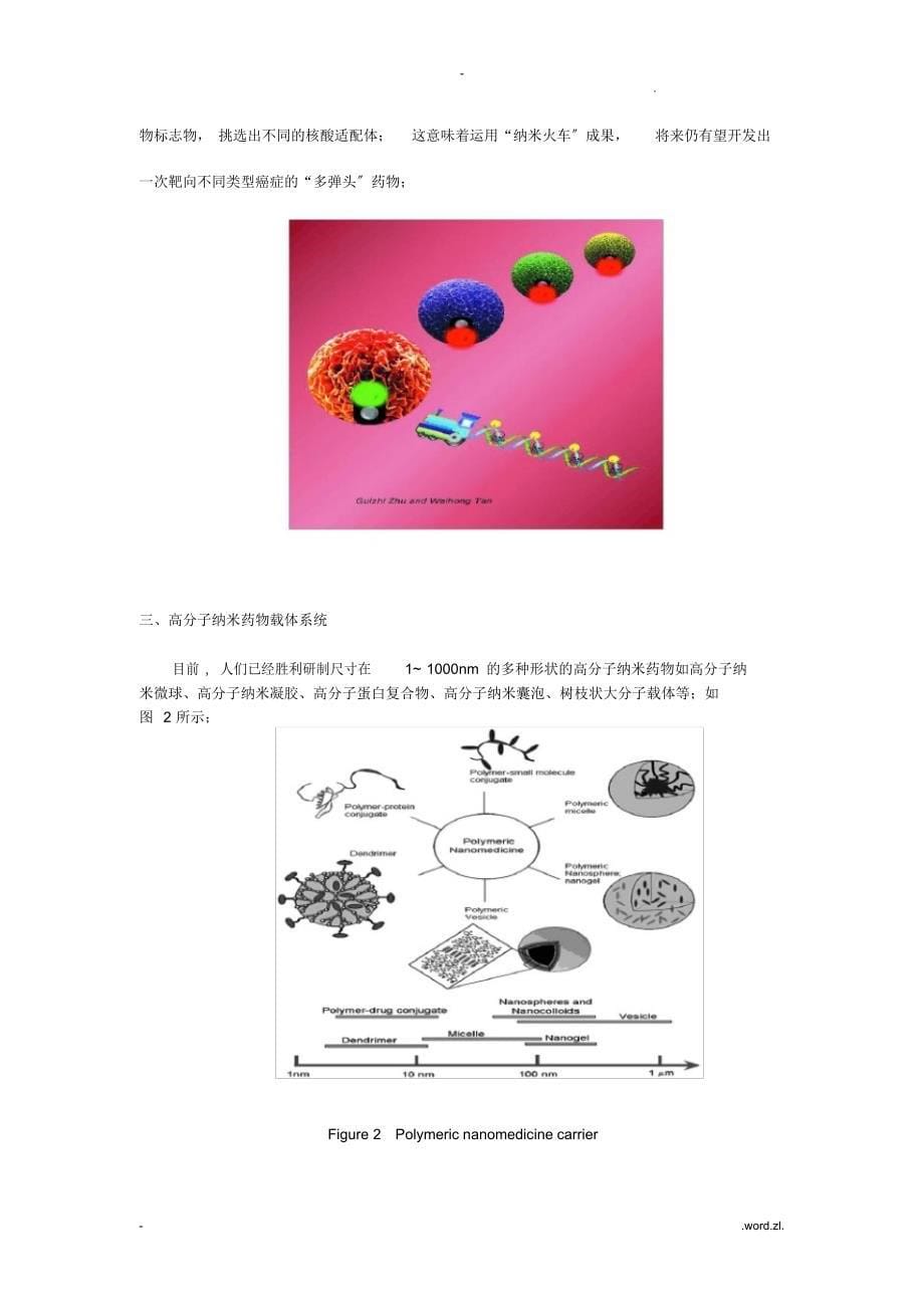 2021年药用高分子材料——纳米药物载体技术_第5页