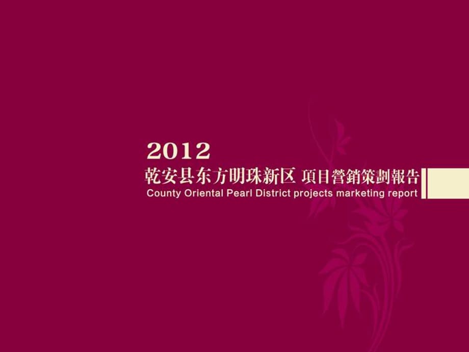 2012年东方明珠新区项目营销策划报告_第1页