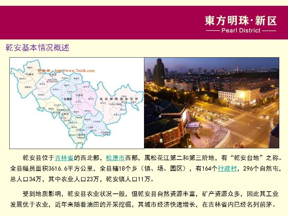 2012年东方明珠新区项目营销策划报告_第5页